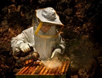 beekeeper_200