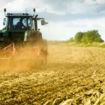 Il Ministero delle Politiche agricole vuole reintrodurre “prodotto nello stabilimento di …”