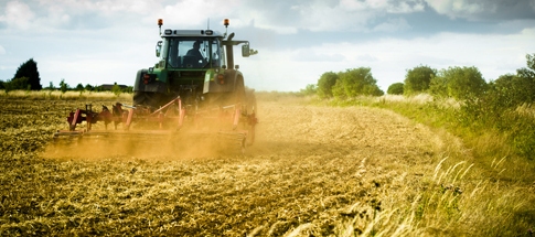 Il Ministero delle Politiche agricole vuole reintrodurre “prodotto nello stabilimento di …”