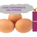 Uova contaminate da Fipronil. Effetti, dosi e livelli massimi: domande e risposte pubblicate dall’Agenzia per la Sanità Pubblica tedesca