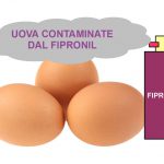 Uova contaminate da Fipronil. Effetti, dosi e livelli massimi: domande e risposte pubblicate dall’Agenzia per la Sanità Pubblica tedesca